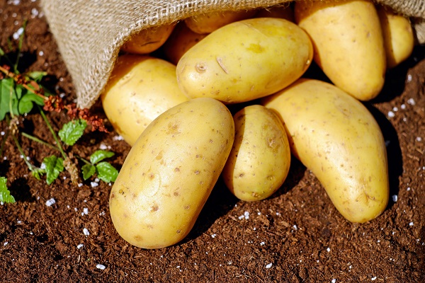 Raw Potatoes in Crispy Potato Wedges Recipe By The Spicy Trail