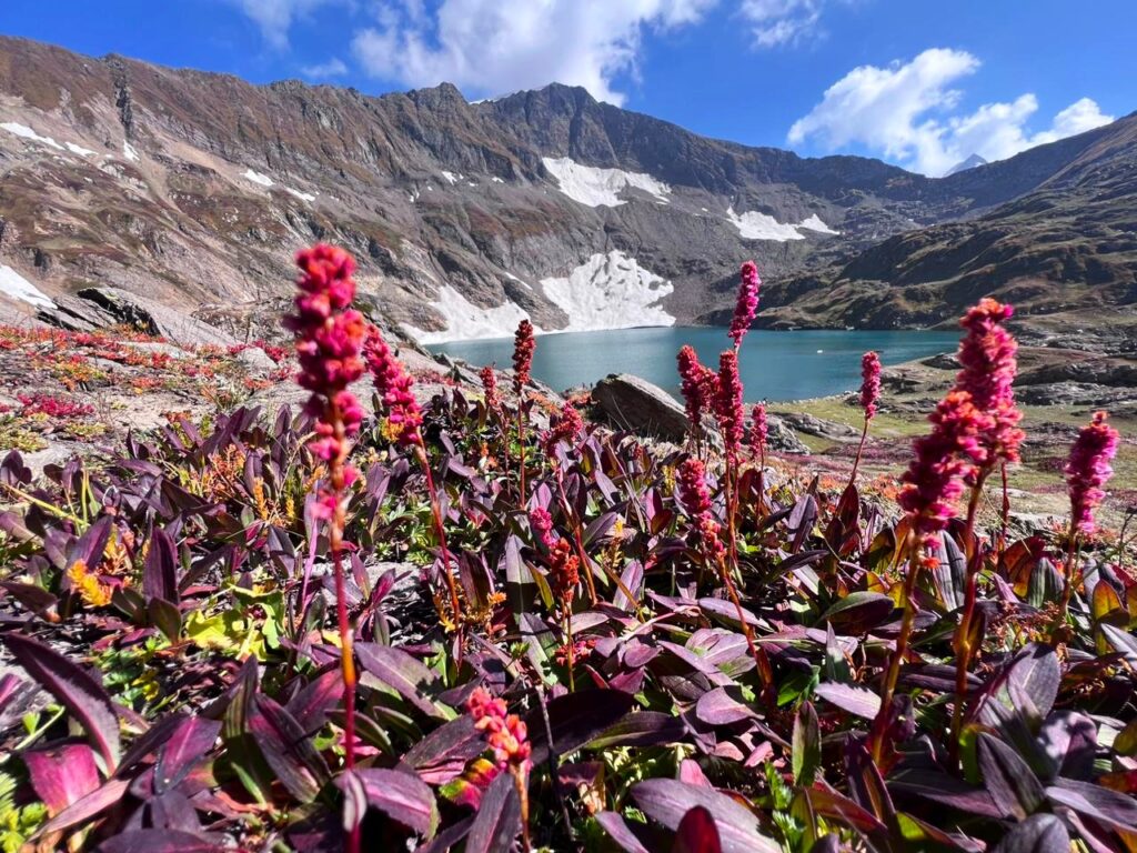 Patliyan Lake in Travel Diaries 1.0 A Culinary Journey through the Mountains of Kashmir The Spicy Trail's Tour to Kashmir Outdoor Cooking