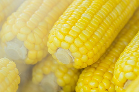 raw Corn in Sweet Corn Recipe By The Spicy Trail Sweet Corn Chat