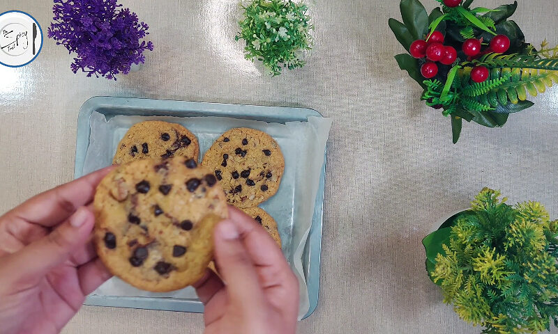 Chocolate Chip Walnut Cookies Recipe By The Spicy Trail